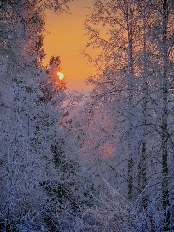 Утро.photo preview