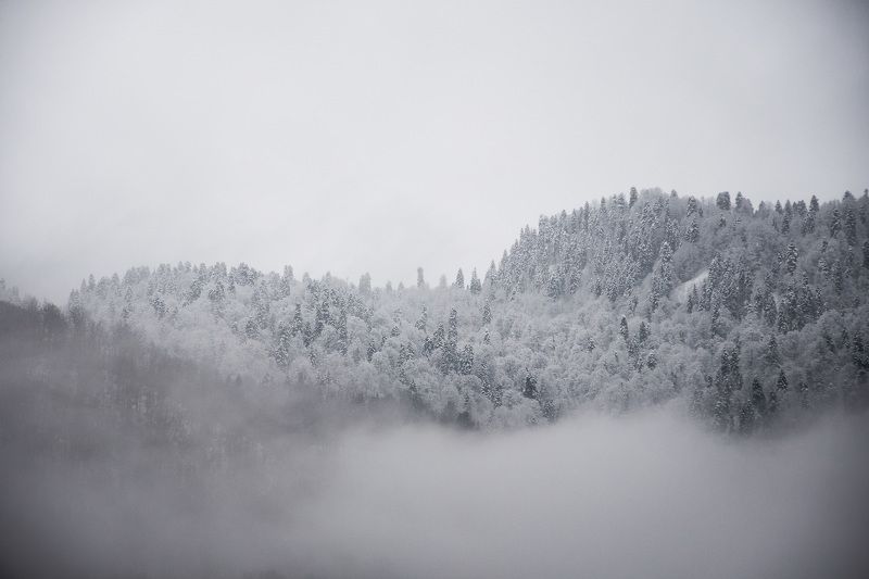 Парящие в облакахphoto preview