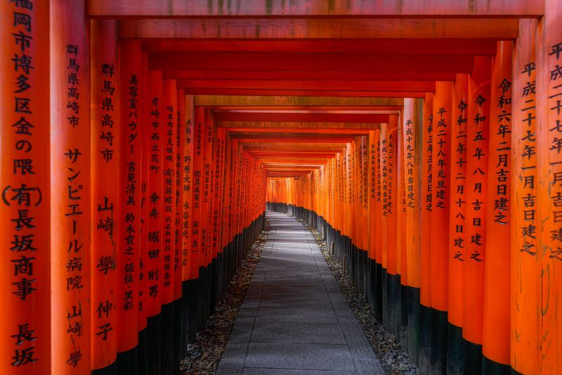 япония, japan, тур в японию, монастырь, храм, осень, клены, токио, киото, tokyo, kyoto, osaka, temple, red trees Япония (ноябрь 2024)photo preview