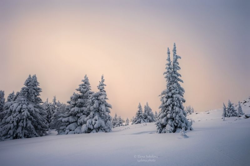 уван, гора уван, челябинская область, зимний лес, зимний пейзаж Гора Уван 1222мphoto preview