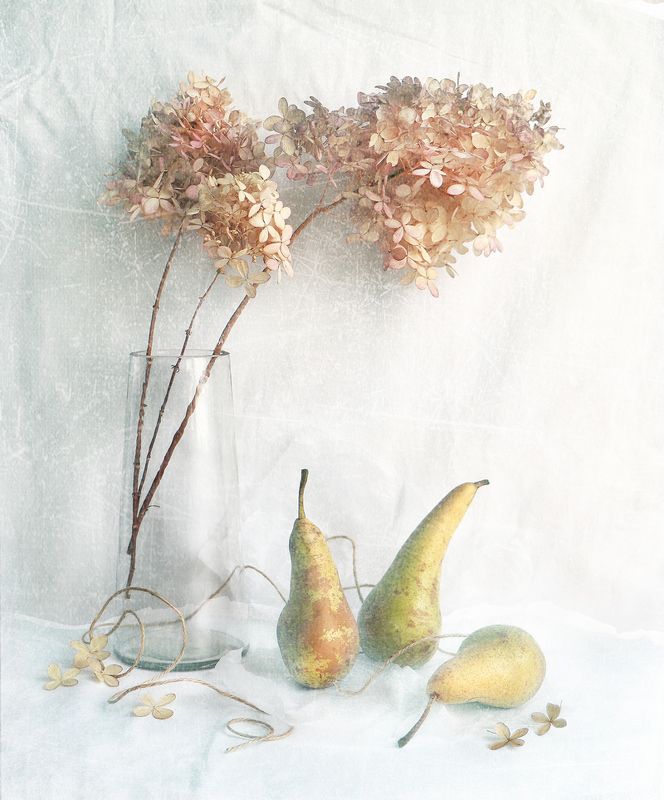 натюрморт, груши, натюрмортсгрушами Зимние грушиphoto preview