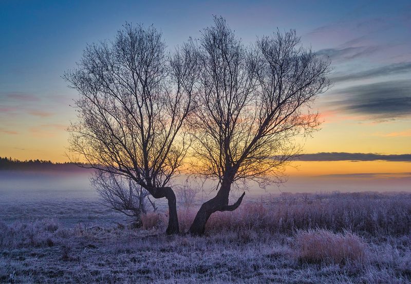 зауралье тюменская курган тюмень ... фото превью