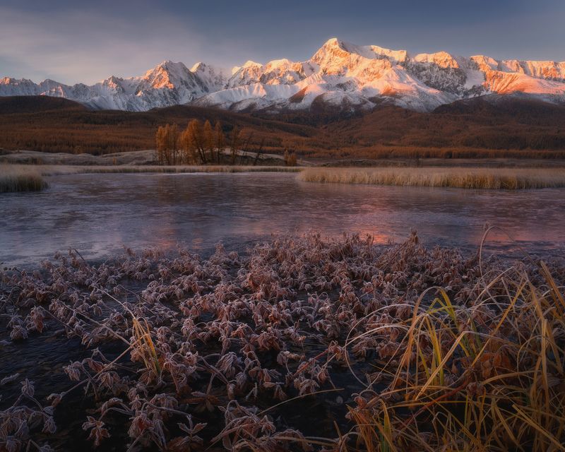 Согреваясь первыми лучамиphoto preview