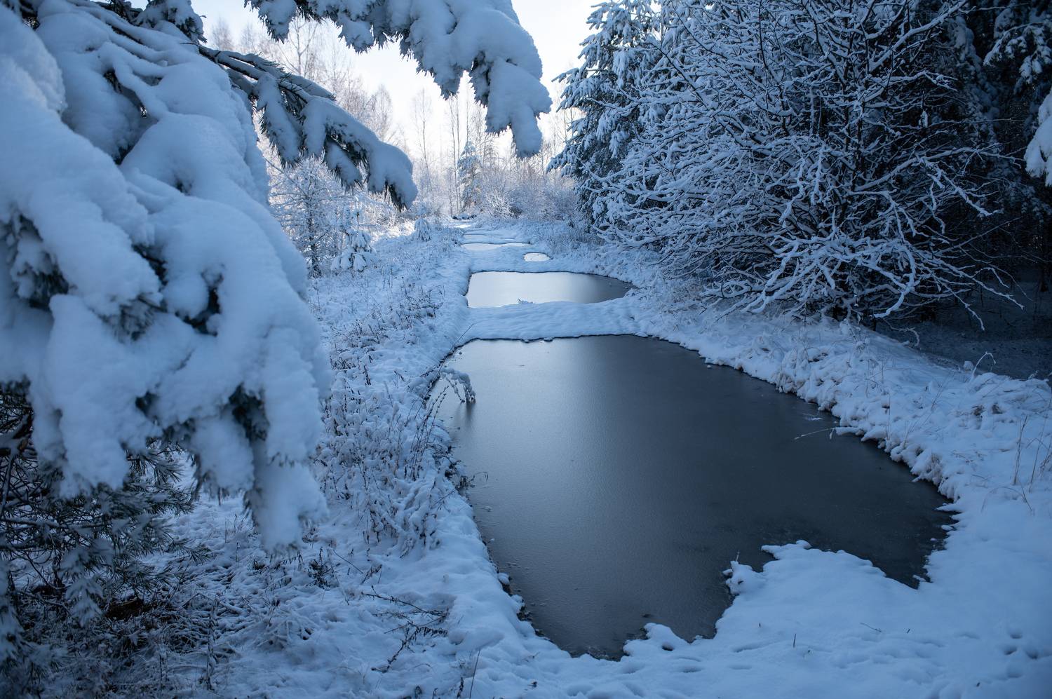 Зима. Автор: Сергей Дужников , Сергей Дужников
