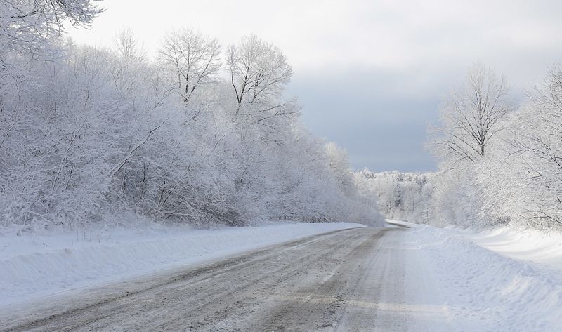утро, лазовский перевал, приморская тайга, дорога ехал лесом, видел чудо.. фото превью
