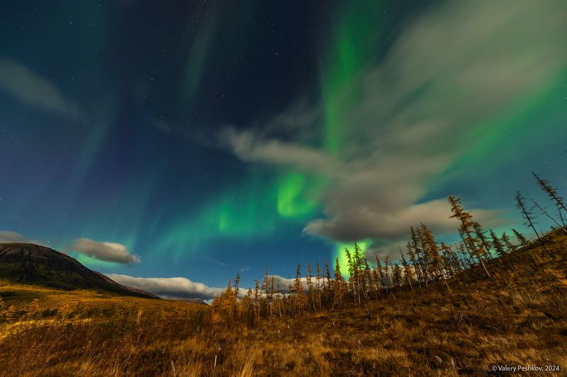 плато путорана, полярное сияние, курейка, таймыр, заполярье, база коваля, владимир коваль Полярное сияниеphoto preview