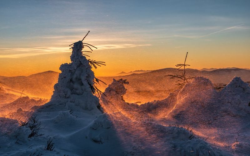 Zimowy poranekphoto preview