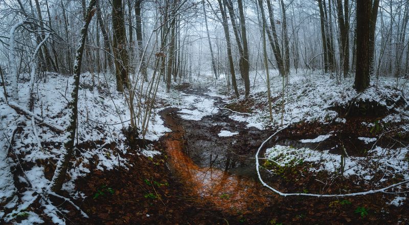 тула, красные ворота Ручей в декабрьском лесуphoto preview