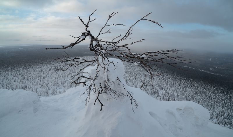 Россия, Пермский край, Полюдов Камень, камень Полюд,  Камень Полюдphoto preview