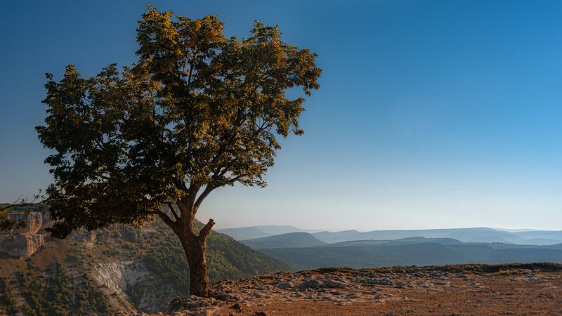 На вершине фото превью