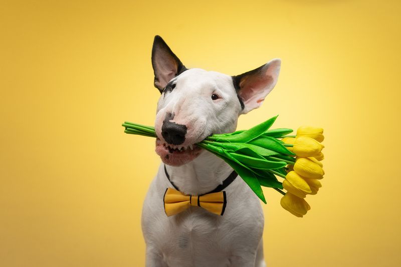 Поздравляюphoto preview