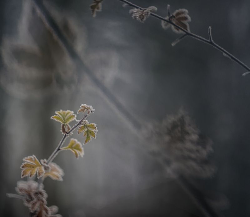 Где-то в параллельной вселеннойphoto preview