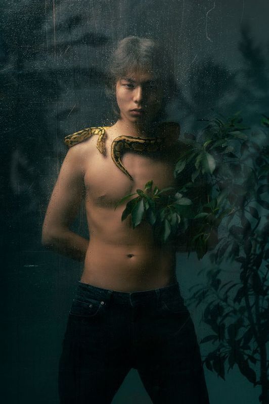 Змейphoto preview