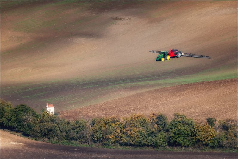 южная моравия,пейзаж,линии,south moravian,lines,свет,czech,осень,чехия,landscapes,абстракция,полевые работы,rural,часовенка \