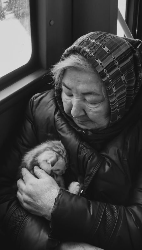 портрет, шаварёв, Мой маленький.photo preview