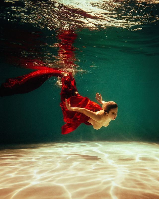 Nikon d850photo preview