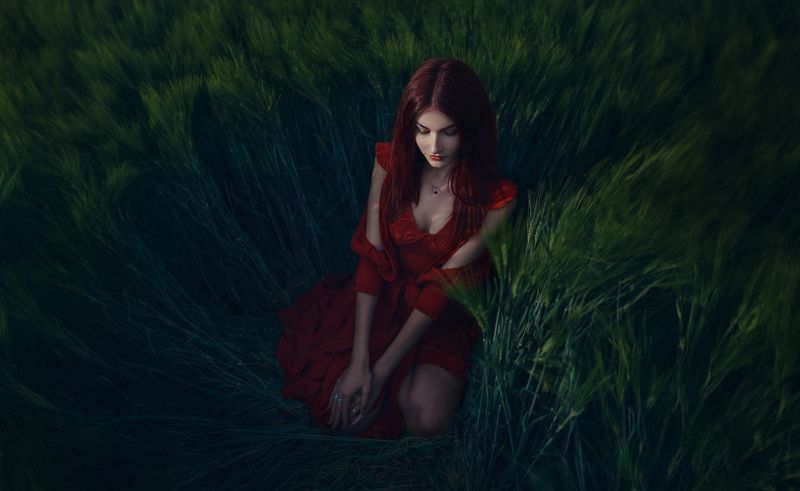 A promisephoto preview