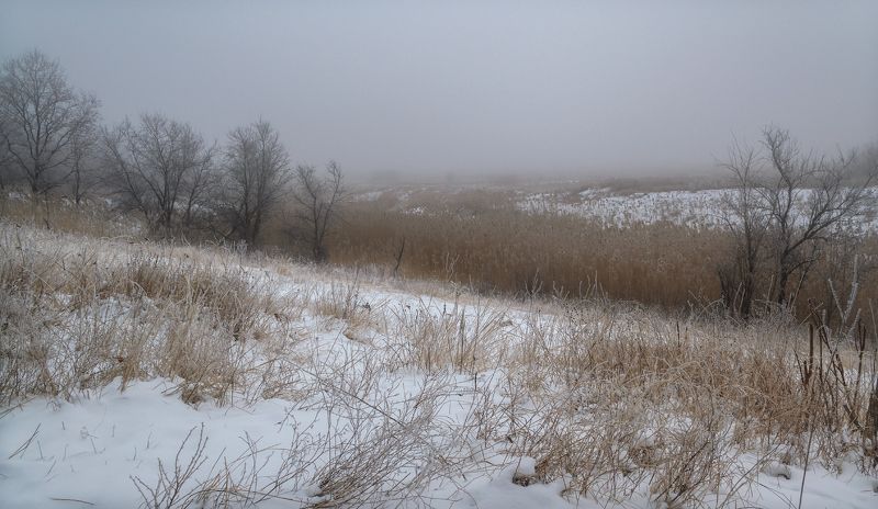 В тумане.photo preview