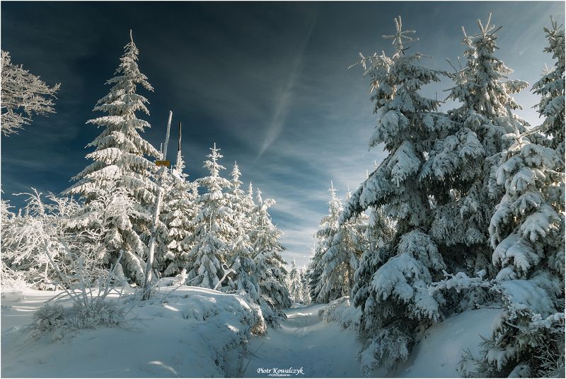 polska, zima ***photo preview