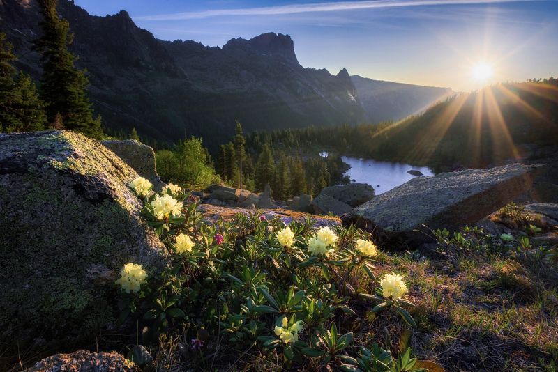 лучистое утроphoto preview