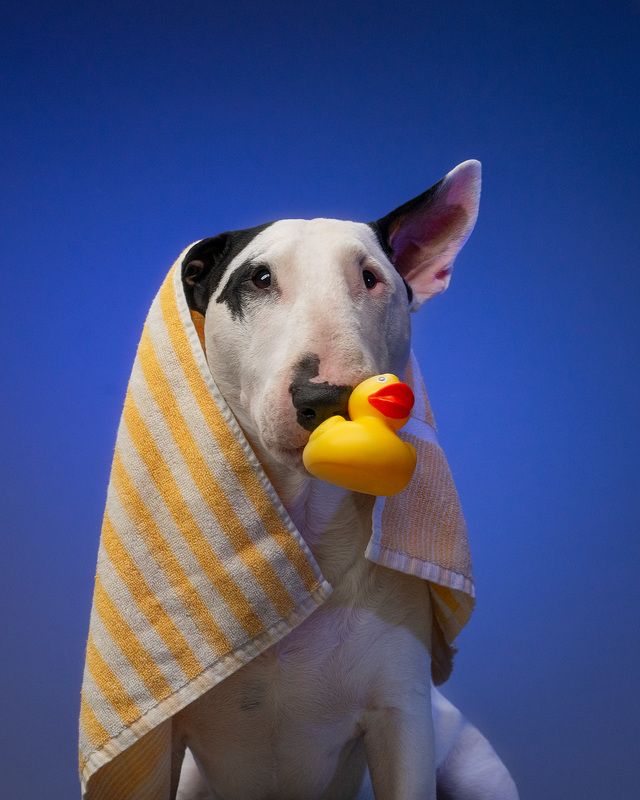 Bath Timephoto preview