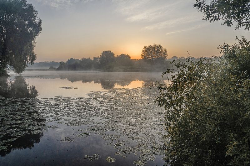 туман утро рассвет На рассветеphoto preview