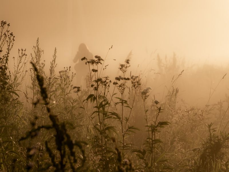 пейзаж, лето, туман, травы И вспомнилось мне лето...photo preview