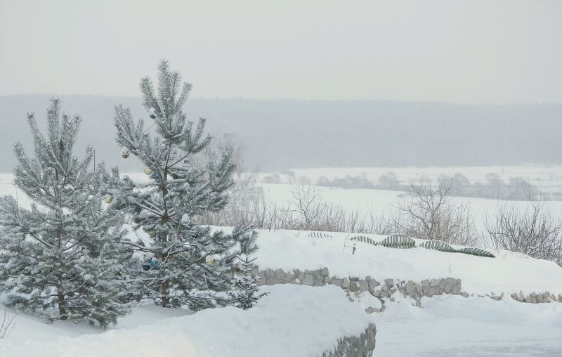 Мело,мело по всей земле.. (с)photo preview