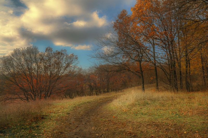 Осенняя пора.photo preview