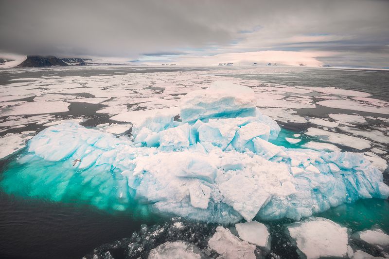 Айсбергphoto preview