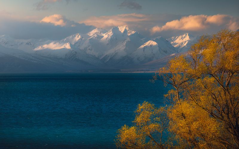 New Zealand, lake tekapo, landscape, spring, lake, travel White Giantsphoto preview