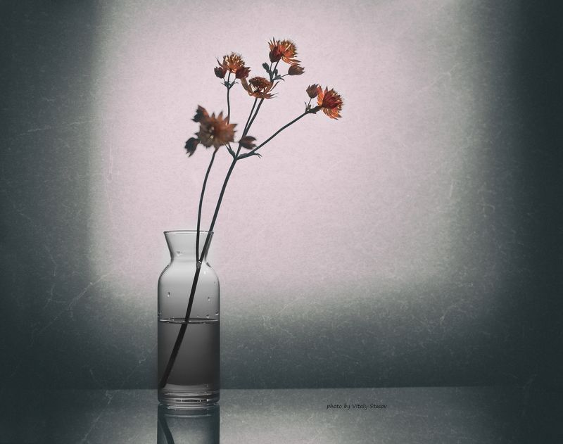 меланхолия, натюрморт, винтаж, созерцание, минимализм, mascara, gray, shade Повседневность.. В минимализме.photo preview