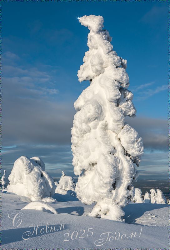 С наступающим Новым Годом!photo preview