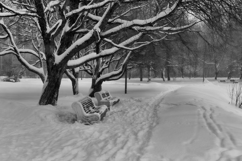 зимний паркphoto preview