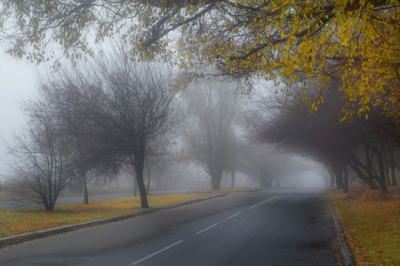 С туманом в дорогу.photo preview