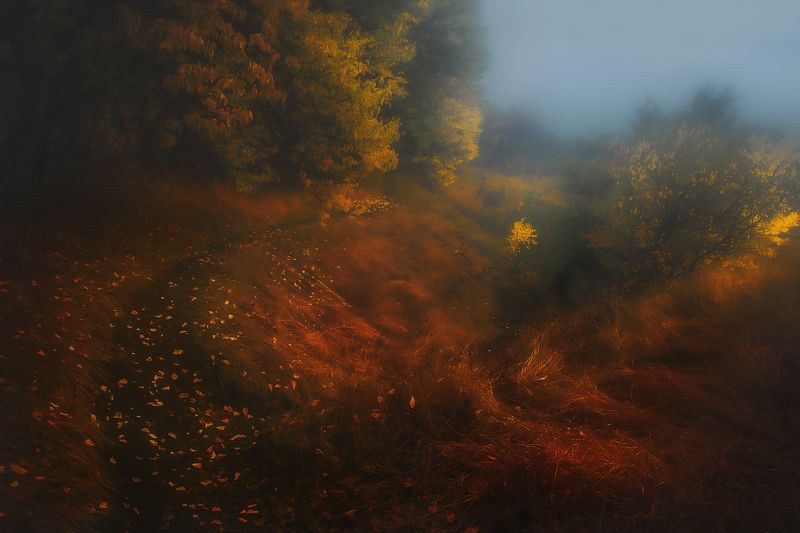 Осень в овраге.photo preview