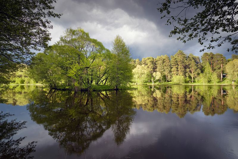 лес, озеро, лето Летом на озере фото превью