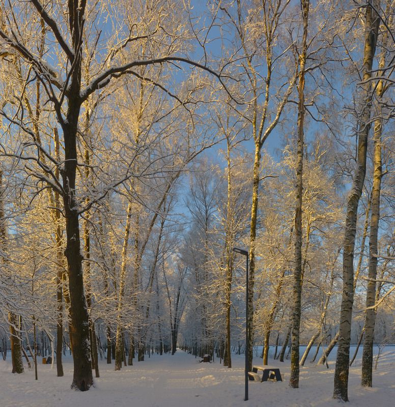 Всем новогодних чудес!photo preview