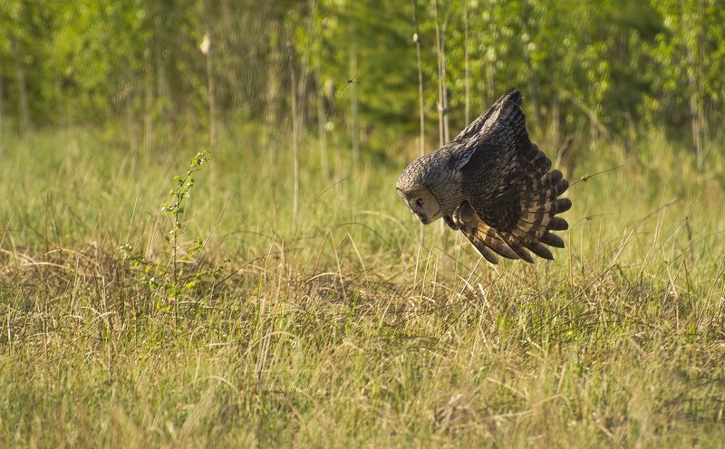 За секунду до.... :)photo preview