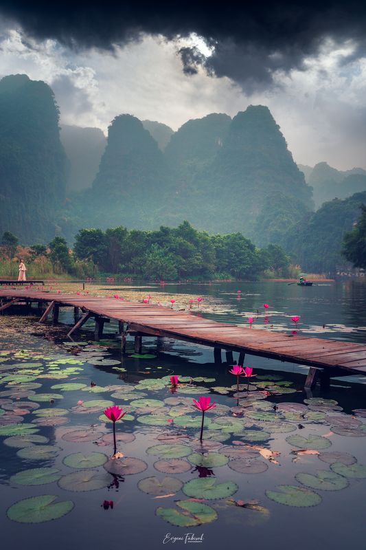 Вьетнамphoto preview