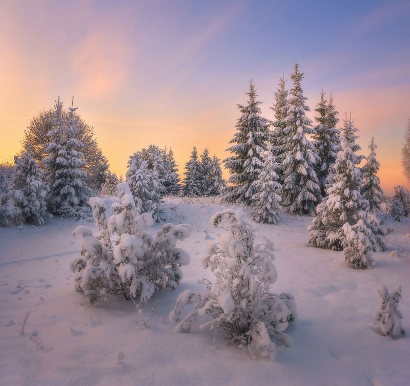 Укутанная снегом природаphoto preview