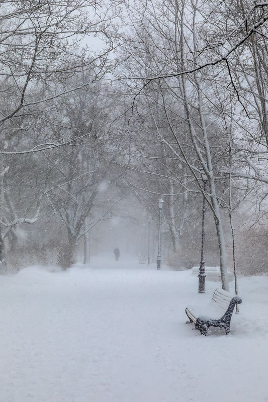 город, пейзаж, парк, зима, снег, метель непогодаphoto preview