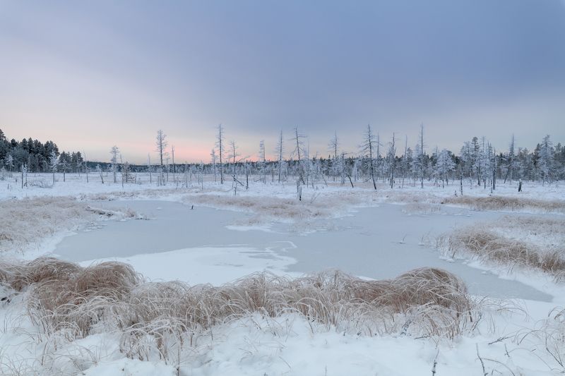 кольский, болото, мороз, закат Заморозки на болотеphoto preview