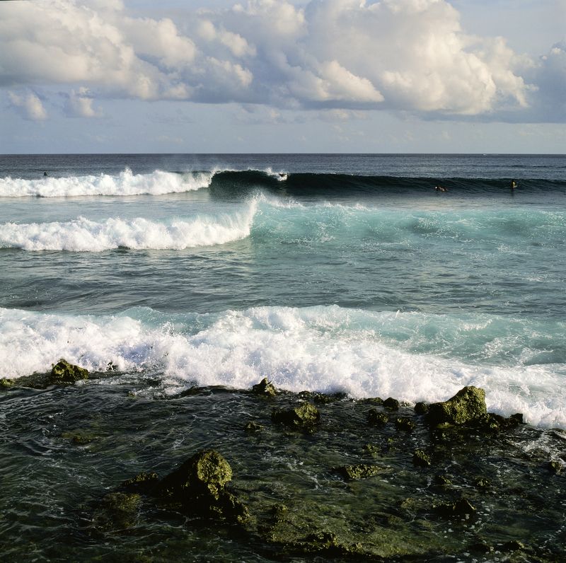 bronica sq-a, bronica, sq-a, zenzabronica, film, плёнка, medium format, m-format, middle, 120 film, 6x6, 120mm, средний формат photo preview