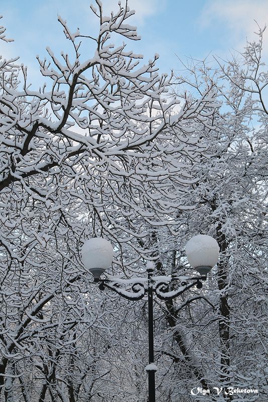 природа, снег, деревья, декабрь 31 декабря 2024 г.photo preview