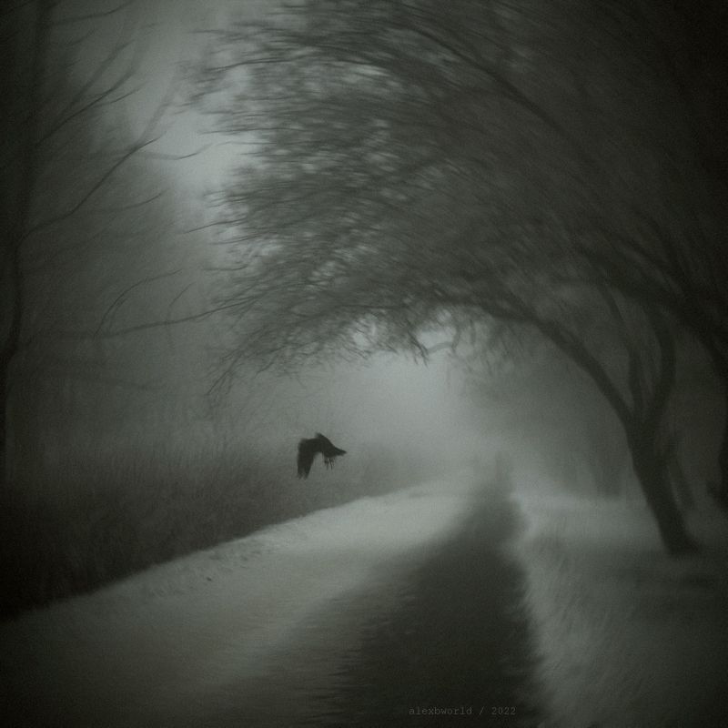 Untitledphoto preview