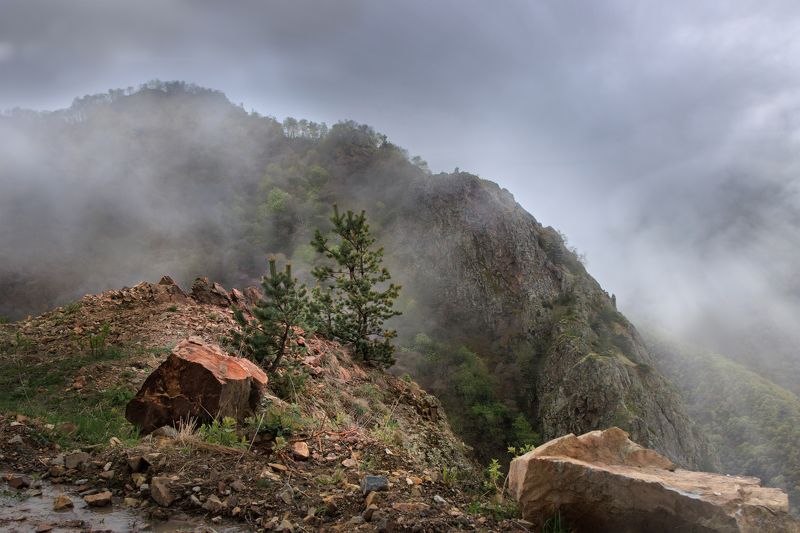 горы туча туман луч солнце дождь сосна склон скала камень Уходящий дождь фото превью