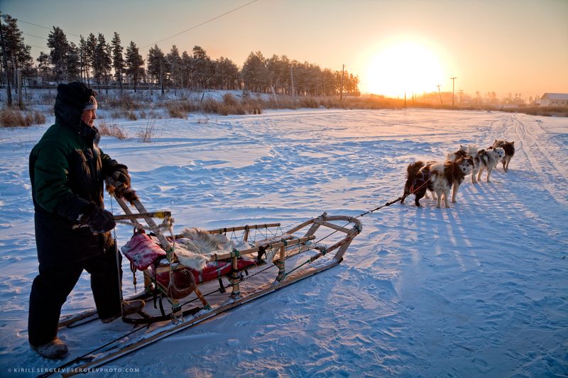 якутия, мороз, собаки, якут, хаски, сани, зима, погонщик, мороз, лайки, сибирь, холод, развлечения, yakutia, frost, dogs, yakut, husky, sleigh, winter, driver, frost, huskies, siberia, cold, entertainment Якутские забавы | Yakutian fun фото превью
