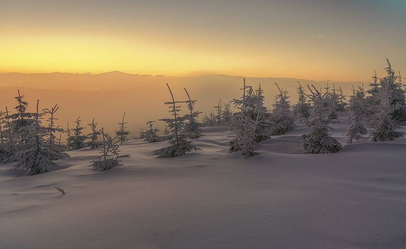 O świciephoto preview