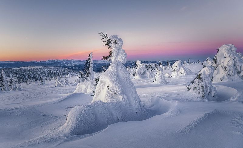 O świciephoto preview